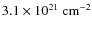 $3.1 \times 10^{21} ~ \rm cm^{-2}$