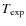 $T_{\textrm{\scriptsize exp}}$