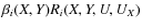 $\beta_i(X,Y) R_i(X,Y,U,U_X)$