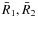 $\bar
R_1, \bar R_2$