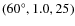 $(60^\circ , 1.0, 25)$
