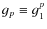$g_p\equiv g^p_1$