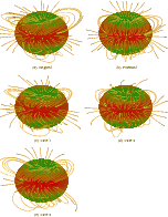\begin{figure}
\par\mbox{\subfigure[Original ]
{\includegraphics[bb=120 60 445 3...
...[bb=120 60 445 350,clip,height=5.0cm,width=6.5cm]{12529f1e.eps} }}\end{figure}