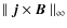 $\parallel {\vec{ j} } \times {\vec{B}} \parallel_{\infty} $