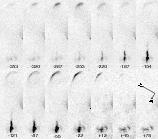 \begin{figure}
\par\includegraphics[width=33pc,clip]{11809fg1.eps}
\end{figure}