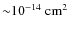 ${\sim}10^{-14}~{\rm cm^2}$