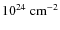 $10^{24}~{\rm cm}^{-2}$