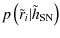$\displaystyle p\left(\tilde{r}_i \vert \tilde{h}_{\rm SN}\right)$