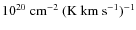$10^{20}~{\rm cm^{-2}~(K~km~s^{-1})^{-1}}$