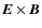 $\vec{E} \times
\vec{B}$