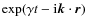 $\exp(\gamma t - {\rm i} \vec{k} \cdot \vec{r})$