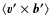 $\langle\vec{v'}\times \vec{b'}\rangle$