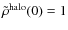 $\tilde\rho^{\rm halo}(0)=1$