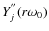 $Y_j^{''}(r\omega_0)$