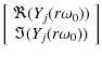 $\displaystyle \left[ \begin{array}{c} \Re(Y_{j}(r\omega_0)) \\  \Im(Y_{j}(r\omega_0)) \end{array} \right]$