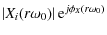 $\displaystyle \abs{X_i(r\omega_0)} {\rm e}^{j\phi_X(r\omega_0)}$