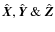 $\hat{\vec X}, \hat{\vec Y}\: \& \:\hat{\vec Z}$