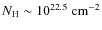 $N_{\rm H}\sim \rm 10^{22.5}~cm^{-2}$