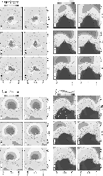 \begin{figure}
\par\includegraphics[%
height=11cm,width=6.4cm,clip]{12804f5a-NEW...
...cludegraphics[%
height=11cm,width=6.4cm,clip]{12804f5d-NEW.eps}\\\end{figure}