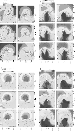 \begin{figure}
\par\includegraphics[%
height=11cm,width=6.3cm,clip]{12804f6a-NEW...
...%
height=11cm,width=6.3cm,clip]{12804f6d-NEW.eps}\\\vspace*{4mm}
\end{figure}