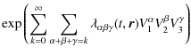 $\displaystyle \exp\left( \sum_{k=0}^{\infty} \sum_{\alpha+\beta+\gamma=k}\lambda_{\alpha \beta
\gamma}(t,\vec{r}) V_1^\alpha V_2^\beta V_3^\gamma \right)$