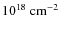 $10^{18}~\rm {cm^{-2}}$