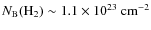 $N_{\rm B}(\rm H_2)\sim1.1\times10^{23}~\rm {cm^{-2}}$