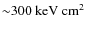 ${\sim}300~\rm {keV}~\rm {cm}^{2}$