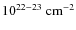 ${\rm 10^{22-23}~cm^{-2}}$