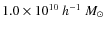$1.0 \times 10^{10}~h^{-1}~{M_\odot}$