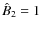 $\hat{B}_2=1$
