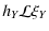 $\displaystyle h_Y\mathcal{L}\xi_Y$