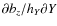 $\partial b_z/h_Y\partial Y$