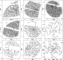 \begin{figure}
\par\mbox{\includegraphics[width=6cm,clip]{13053f4a.ps}\hspace*{2...
....ps}\hspace*{2mm}
\includegraphics[width=6cm,clip]{13053f4i.ps} }
\end{figure}