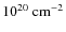 $10^{20} ~\rm cm^{-2}$