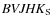 ${\it BVJHK}_{\rm S}$