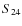 $S_{\rm 24}$
