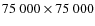 $75~000 \times 75~000$