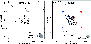 \begin{figure}
\par\includegraphics[width=8cm,clip]{13492_fig11-NEW.eps}
\end{figure}