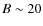 $B\sim 20$