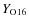 $Y_{\rm O16}$