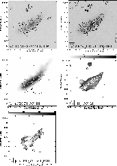 \begin{figure}
\par\includegraphics[width=15cm,clip]{13591_f3.eps}
\end{figure}