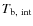 $T_{\rm b,~int}$
