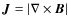 ${\vec J} = \vert{\bf\nabla} \times {\vec B}\vert$