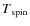 $T\rm {_{spin}}$