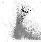 \begin{figure}
\par\includegraphics[width=8cm,clip]{13331fig10.eps}
\end{figure}