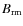 $B_{\rm rm}$