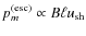 $p_m^{\rm (esc)} \propto B \ell u_{\rm sh}$