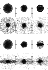 \begin{figure}
\par\includegraphics[width=8.5cm,height=6cm,clip]{Figures/13514f5...
...\includegraphics[width=8.5cm,height=6cm,clip]{Figures/13514f51.eps}
\end{figure}