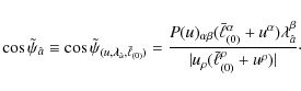 \begin{displaymath}
\cos\tilde\psi_{\hat a}\equiv\cos{\tilde\psi}_{({u},\vec{\la...
...at a}}
{\vert u_\rho({\bar\ell}_{(0)}^\rho+u^\rho)\vert}\cdot
\end{displaymath}